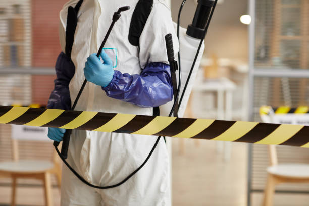 Professional Sewage Cleanup technician working in Genoa, IL